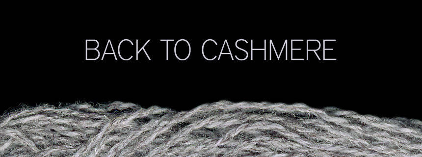 Back to cashmere ? a very special offer.